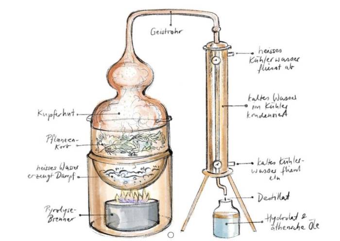 Aufbau der Wasserdampfdestillation.