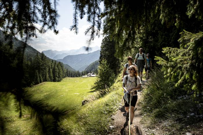 Die unzähligen Wälder der Region bieten vielfältige Erholungsmöglichkeiten.