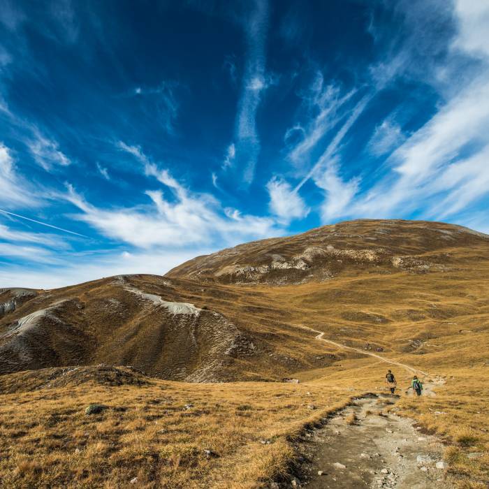 Der Munt la Schera ist Lebensraum zahlreicher alpiner Vogelarten.