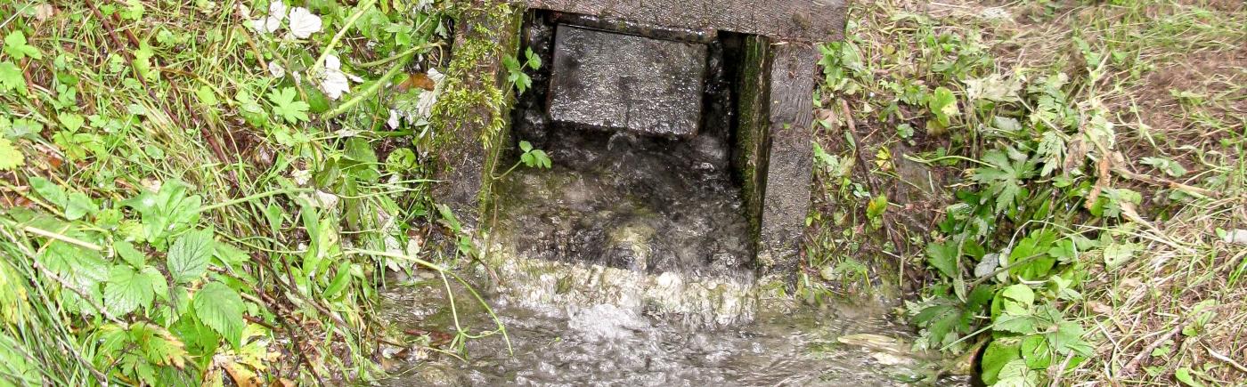 Der Aual Claif oberhalb dem Camping Pè d'Munt in Sta.Maria im Val Müstair ist immer wieder ein beliebter Spaziergang für Gross und Klein.