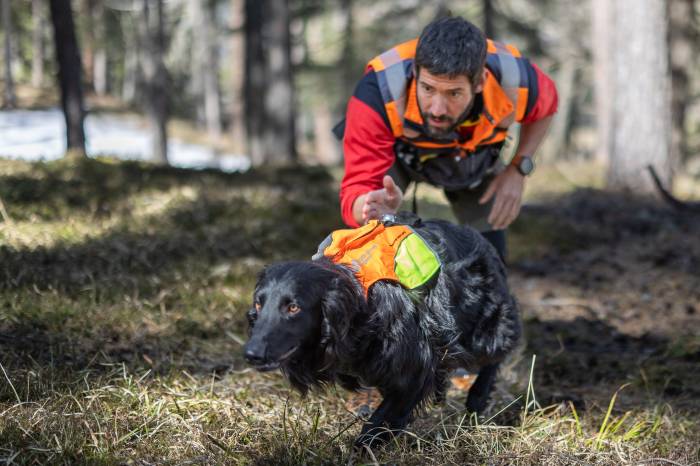 Zino, Antonin Hugentoblers Hund kann dank intensivem Training Borkenkäfer aufspüren.