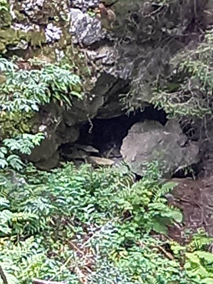 Der Eingang zur Höhle der Dialen.