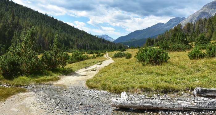Landschaft im Schweizerischen Nationalpark.