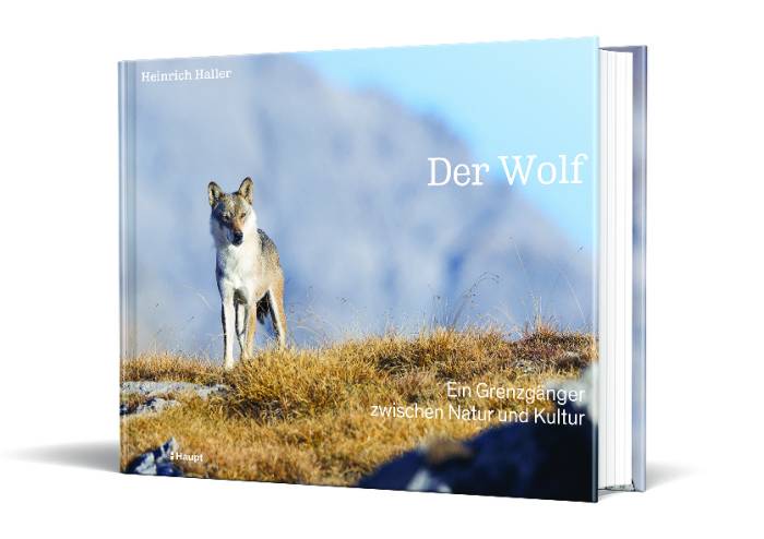 Der Wolf. Erschienen im Haupt Verlag - siehe Box.