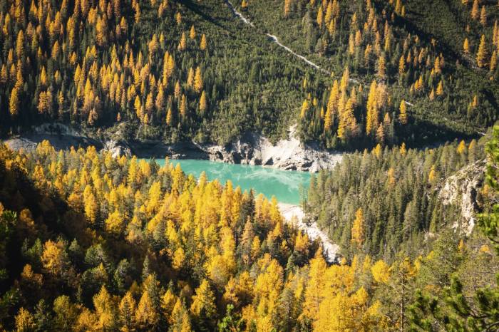 Nie sind die Farben intensiver als im Herbst.