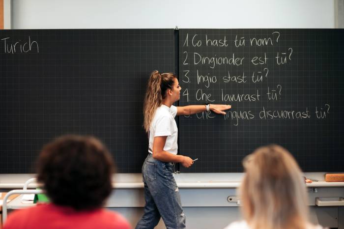 La nouva pagina d'internet cuntegna eir infuormaziuns reguard cuors da rumantsch.