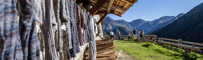 Alp Tavrü im Val S-charl – gelebte Alpkultur vor eindrucksvoller Bergkulisse. 