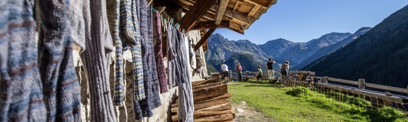 Alp Tavrü im Val S-charl – gelebte Alpkultur vor eindrucksvoller Bergkulisse. 