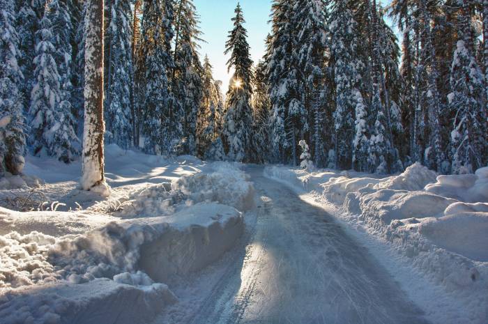 Der Eisweg in Sur En führt durch den zauberhaften  Winterwald.