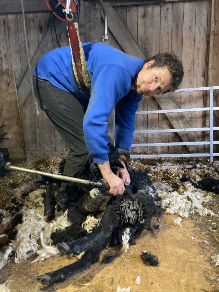 Emanuel Gulde ist seit 15 Jahren professioneller Schafscherer und kommt immer auch ins Engadin. Ist er nicht gerade wegen dem Scheren unterwegs, wohnt er mit seiner Familie am Bodensee.