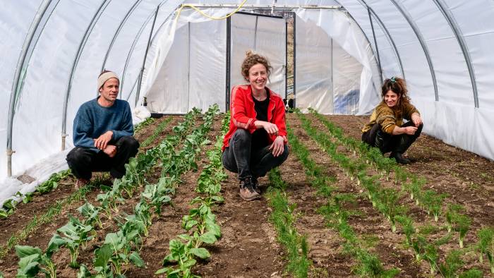 Samuel Hauenstein, Marion Schild und Aita Puorger kultivieren im Rahmen der «Klimaneutralen Landwirtschaft Graubünden» nun auch Gemüse auf dem Hof Chavalatsch.