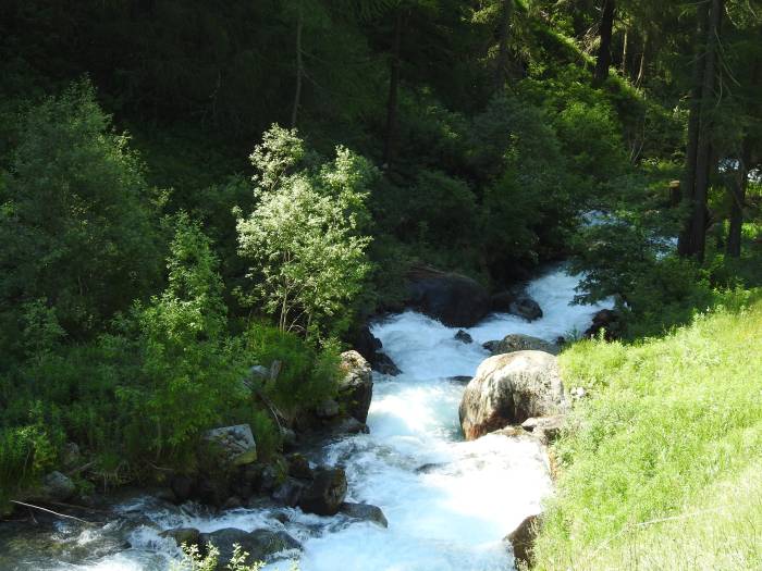 Über die beiden Steine in der Clozza führte der Übergang des alten Talweges zwischen Guarda und Lavin.