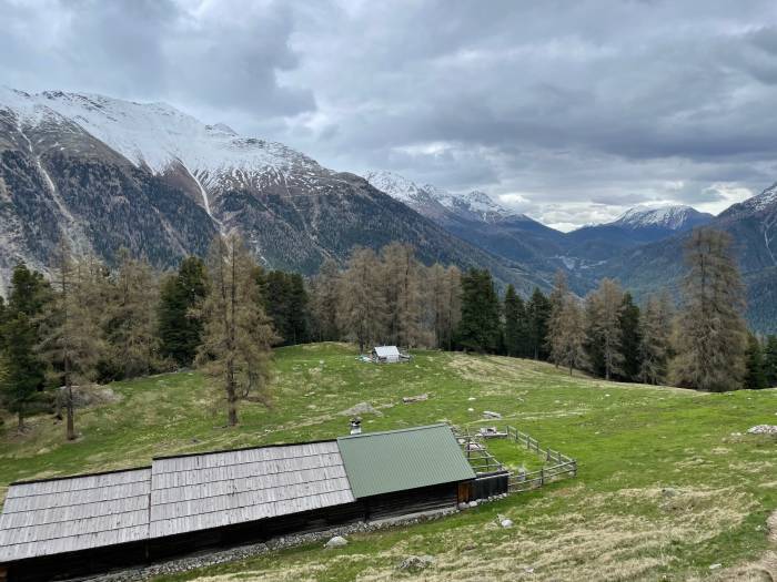 Die kleine Jagdhütte der Schortas in der Bildmitte, am Rand der Wiese.